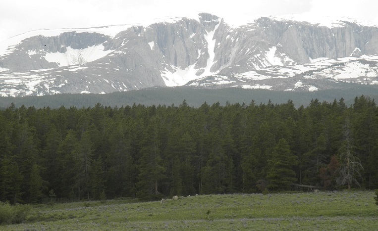 Grand Tetons